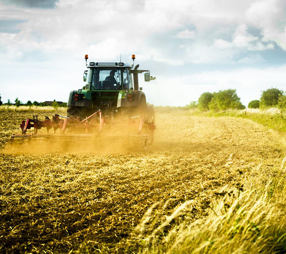 gasolio-camer-per-agricoltura